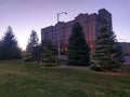 Christmas trees at sunset in West Lafayette Indiana