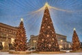 Christmas Trees Under Canopy of Lights at Lubyanka in Twilight