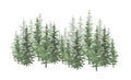 Christmas trees watercolor hand drawn seamless background texture.