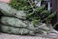 CHRISTMAS TREET PACKED IN NET IN COPENHAGEN DENAMRK
