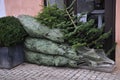 CHRISTMAS TREET PACKED IN NET IN COPENHAGEN DENAMRK