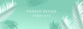 Christmas Tropical palm leaves green background texture