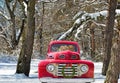 Golden retrievers in vintage truck