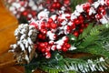 Christmas twig rowan cones and snow. Royalty Free Stock Photo
