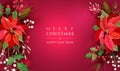 Christmas Vector background. Xmas sale, holiday web banner. Design Winter Poinsettia Floral decoration Royalty Free Stock Photo