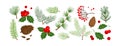 Christmas vector colored plants, holly winter decor, tree, fir, pine and cone, berry, leaves branches, holiday set. Nature Royalty Free Stock Photo