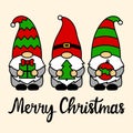 Christmas vector gnomes with ball, tree, present. Phrase Merry Christmas. Holiday symbols