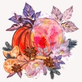 Christmas vector illustration pumpkin with anise stars, oranges and tree branches