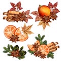 Christmas vector set with oranges, cinnamon and fur tree branches Royalty Free Stock Photo