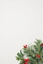 Christmas vertical background with sharpleaf branches and red berries in the corner Royalty Free Stock Photo