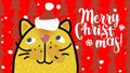 Christmas video greeting card with funny cat