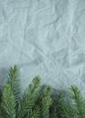 Spruce twigs on the linen crumpled textile background
