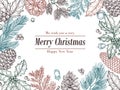 Christmas vintage invitation. Winter fir pine branches, pinecones floral border. Christmas, xmas botanical sketch frame Royalty Free Stock Photo