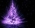 Christmas violet tree