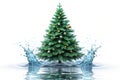 Christmas water splash tree isolated on white. 3d rendering Royalty Free Stock Photo
