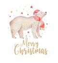 Christmas watercolor bear. Cute kids xmas forest bears animal illustration, new year card or poster. Hand drawn nursery Royalty Free Stock Photo