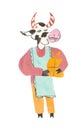 Christmas watercolor cow with a gift and an apron. Festive illustration Royalty Free Stock Photo