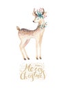 Christmas watercolor deer. Cute kids xmas forest animal illustration, new year card or poster. Hand drawn isolated baby Royalty Free Stock Photo