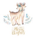 Christmas watercolor deer. Cute kids xmas forest animal illustration, new year card or poster. Hand drawn isolated baby Royalty Free Stock Photo