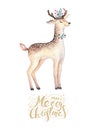 Christmas watercolor deer. Cute kids xmas forest animal illustration, new year card or poster. Hand drawn isolated baby Royalty Free Stock Photo