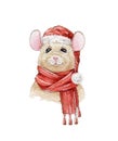 Christmas watercolor hand painted illustration of a nice mouse in a red hat and warm scarf. A chinese new year symbol of 2020.