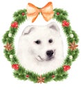 Christmas Watercolor Illustration, White Dog, Samoyed Laika In The Decoration Of A Wreath Of Fir Branches