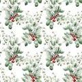 Christmas watercolor seamless pattern green mistletoe sprigs with red berries on a white background Royalty Free Stock Photo