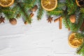 Christmas white background fresh twigs conifer tree dried citrus