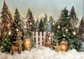 Christmas, winter backdrop for familly portraits and thematic photoshoots. Royalty Free Stock Photo