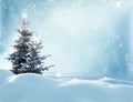 Christmas winter background with fir tree Royalty Free Stock Photo