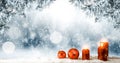 Christmas winter background. Red candles and baubles. Spruce and pine branches over the board covered with snow. Royalty Free Stock Photo