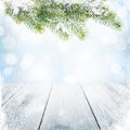 Christmas winter background with snow fir tree Royalty Free Stock Photo