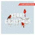 Christmas Winter Birds Graphic Design