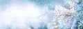 Christmas winter blurred background. Xmas tree with snow decorated with garland lights, holiday festive background Royalty Free Stock Photo