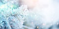 Christmas winter blurred background. Xmas tree with snow, holiday background Royalty Free Stock Photo