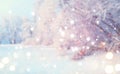 Christmas winter blurred background. Xmas tree with snow, holiday festive background Royalty Free Stock Photo