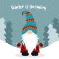 Christmas winter card with cute gnome