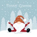 Christmas winter card with funny gnome