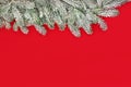 Christmas Winter Fir and Snow Red Background Border Royalty Free Stock Photo