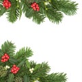 Christmas Winter Flora Background Border Royalty Free Stock Photo