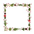 Christmas Winter Flora and Holly Berry Frame