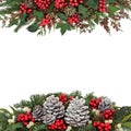 Christmas and Winter Floral Border Royalty Free Stock Photo