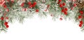 Christmas winter frame of green fir or spruce branches with snow, red berries and cones isolated on white background,