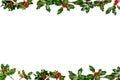 Christmas winter greenery and holly berry abstract background border on white. Traditional flora design element for Royalty Free Stock Photo