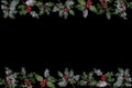 Christmas winter greenery and holly berry blac background border on white. Traditional flora design element for greeting Royalty Free Stock Photo