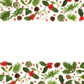 Christmas Winter Holly and Flora Background Border