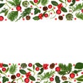 Christmas Winter Holly Flora Red Bauble Background Border Royalty Free Stock Photo