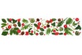 Christmas Winter Holly Flora Red Bauble Banner