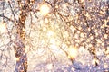 Christmas winter nature background with glowing lights. Magic lights in snowy winter nature. New Year time Royalty Free Stock Photo