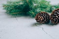 Christmas or winter, New Year background layout with fir tree branch and pine cones over gray Royalty Free Stock Photo